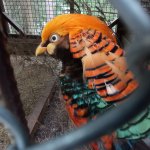 phoca_thumb_m_2. den vp 17 Fotogalerie